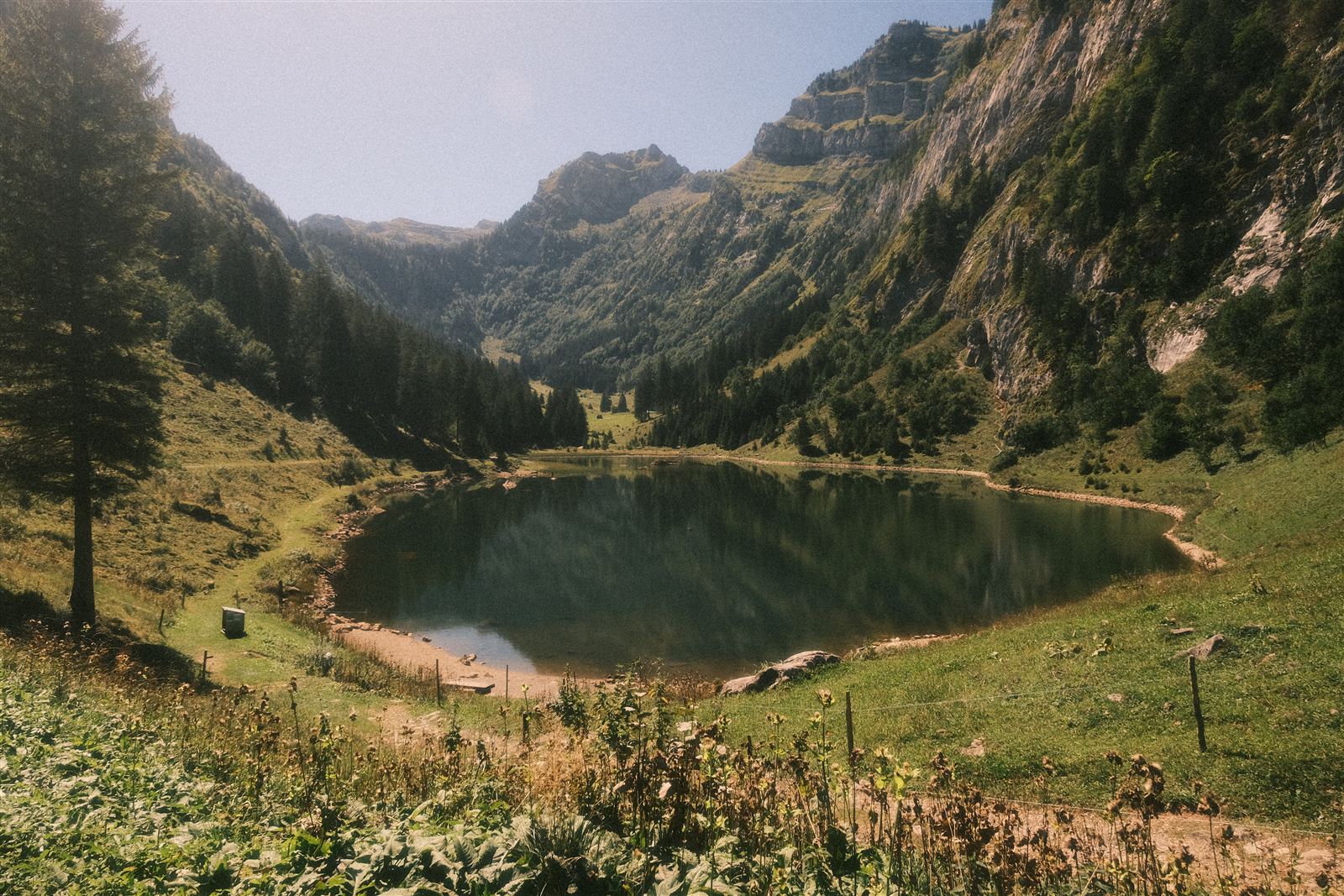 Bergsee zwischen steilen bewaldeten Bergen