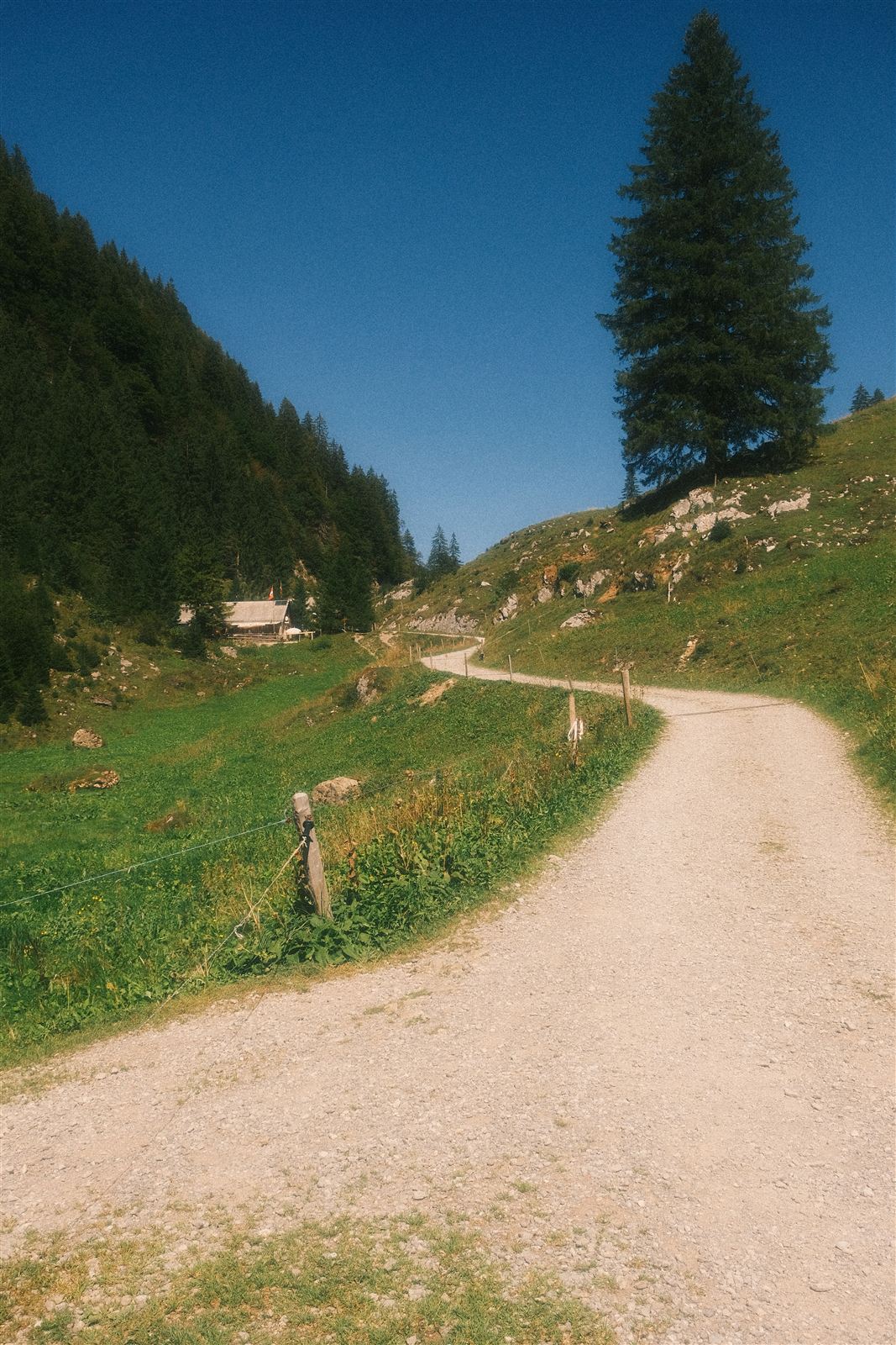 Kiesiger Bergweg hinauf zu einer Berghütte