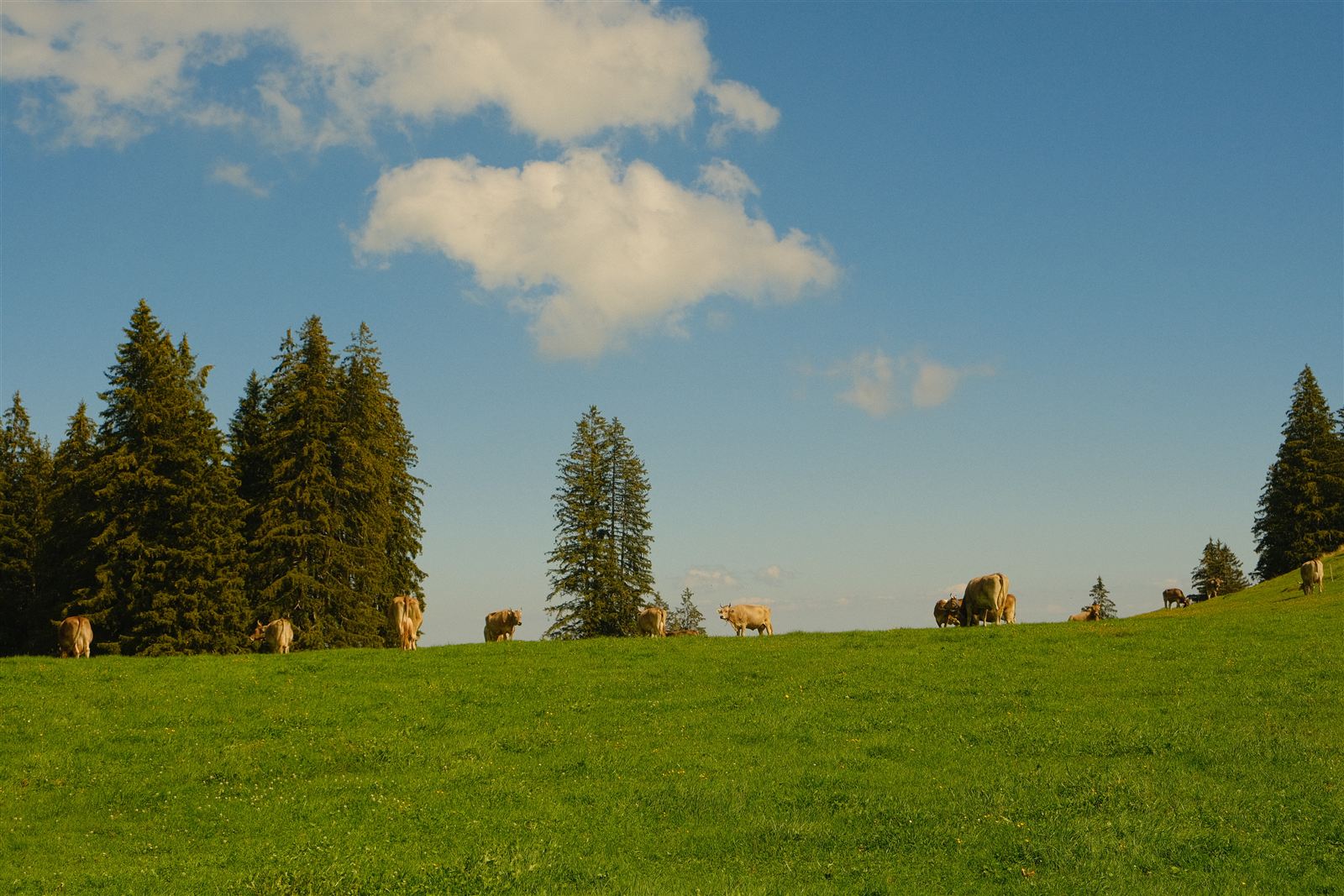 Gäbris Weitblick