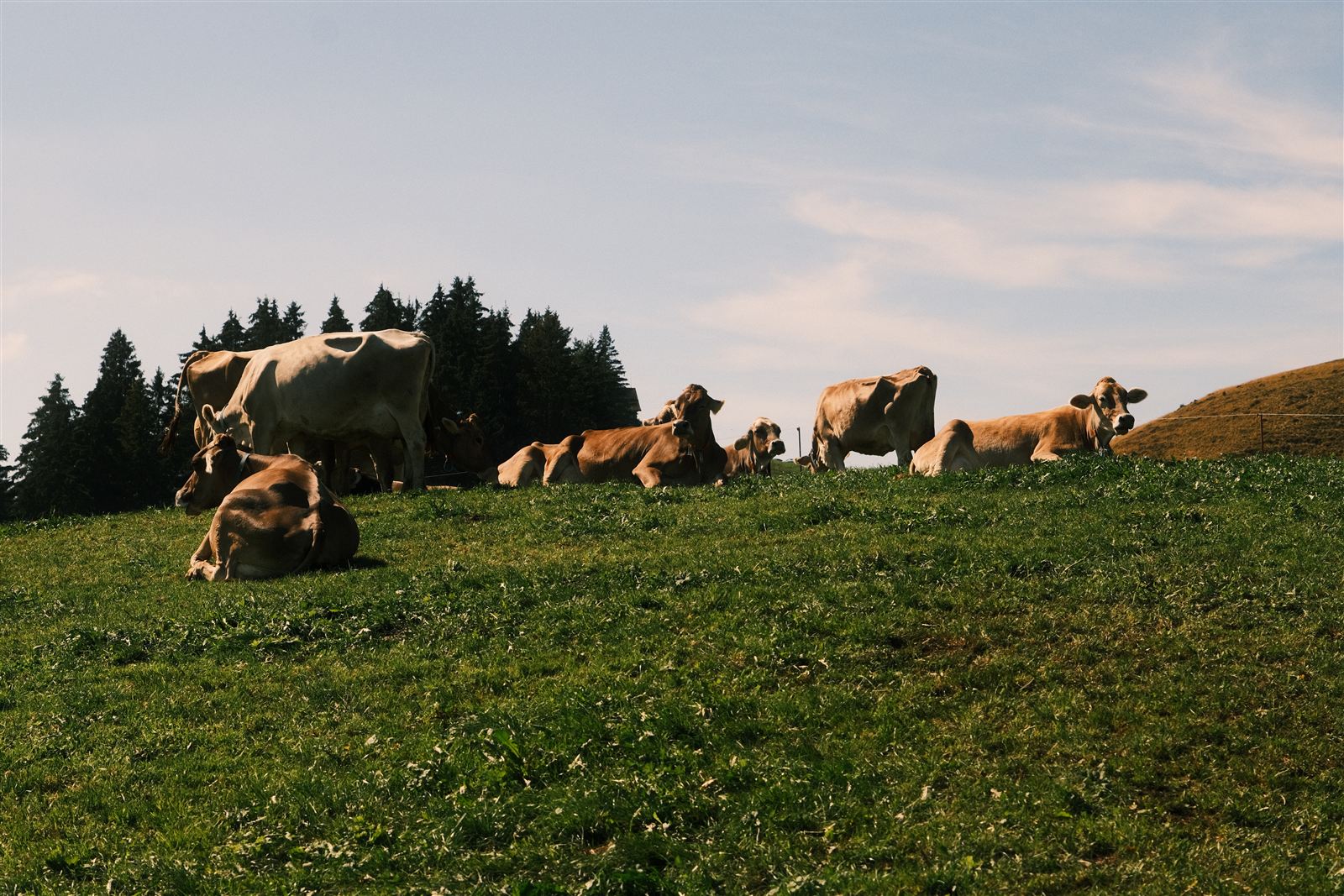Gäbris Landschaft